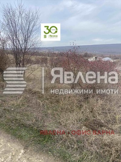 Til salg  Grund region Dobrich , Rogachevo , 1418 kvm | 69227207 - billede [3]