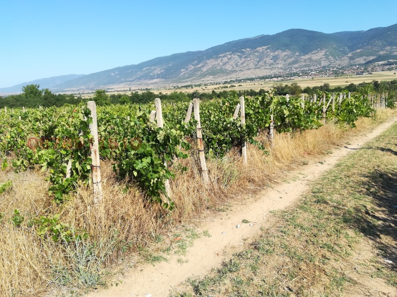 Продава ЗЕМЕДЕЛСКА ЗЕМЯ, гр. Шивачево, област Сливен