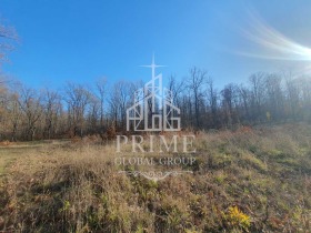 ����� ������� ������,�. �����������, ������ �����