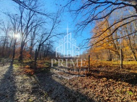 ������� ������ | Imot.bg � ����� ������ 5