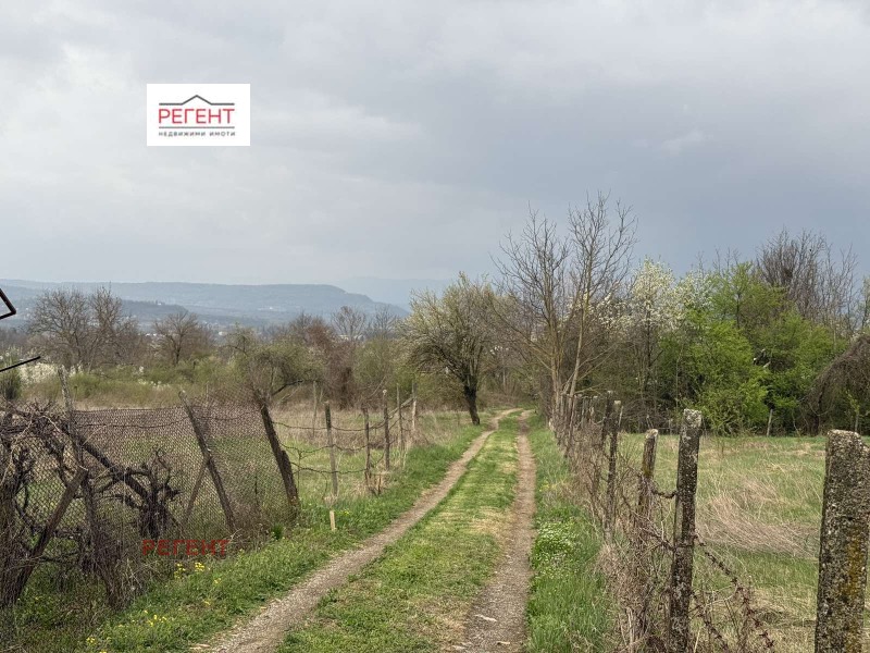 Na prodej  Spiknutí oblast Gabrovo , Sevlievo , 2615 m2 | 66377270 - obraz [3]