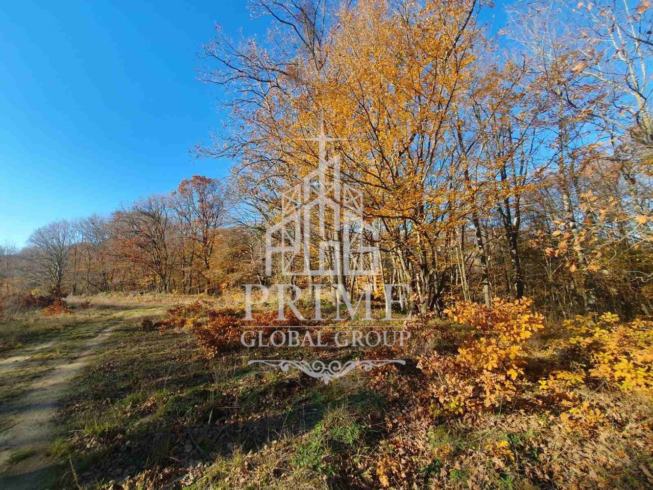 Продава ПАРЦЕЛ, с. Шкорпиловци, област Варна, снимка 7 - Парцели - 54223679