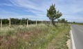 Продава ПАРЦЕЛ, с. Бенковски, област Варна, снимка 2