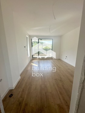 ����� ������� ����,���� �����, ���������