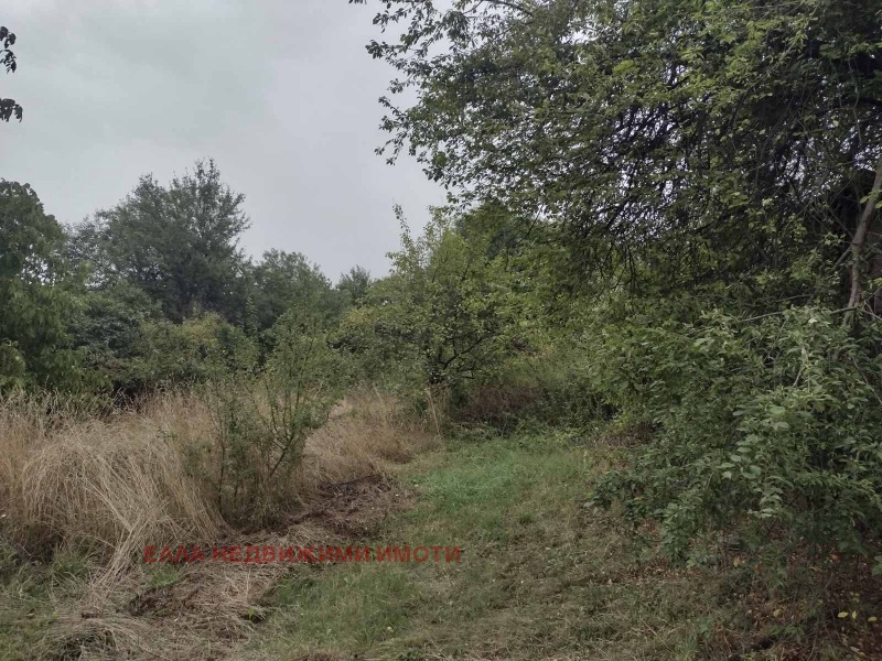 For Sale  Plot region Pernik , Kralev dol , 1220 sq.m | 17503179 - image [3]