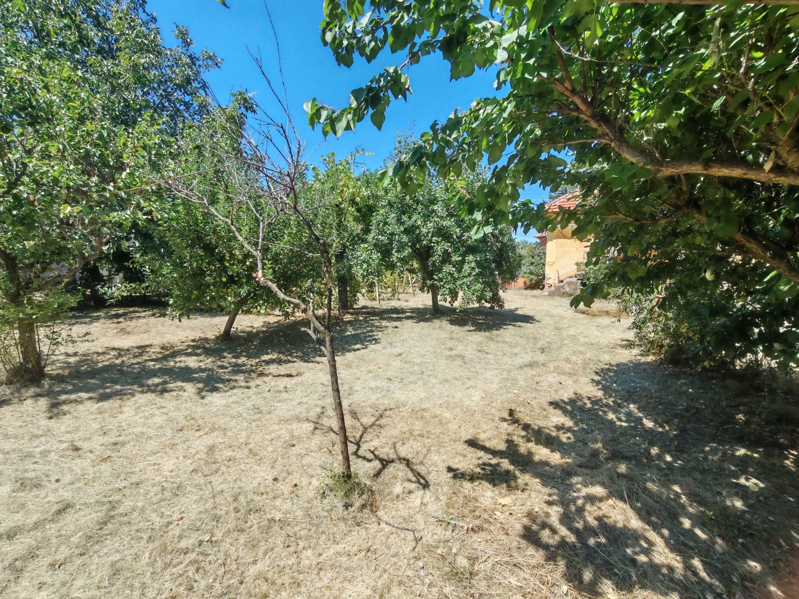 Продава КЪЩА, с. Медковец, област Монтана, снимка 5 - Къщи - 55640245