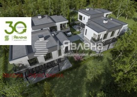 ����� ������� ������,���� �����, ������