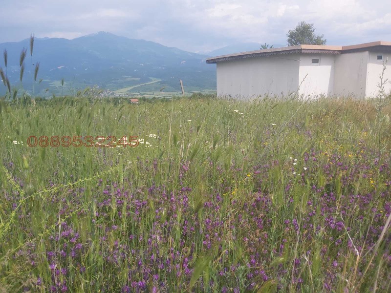 Продава КЪЩА, с. Висока могила, област Кюстендил, снимка 7 - Къщи - 52782252