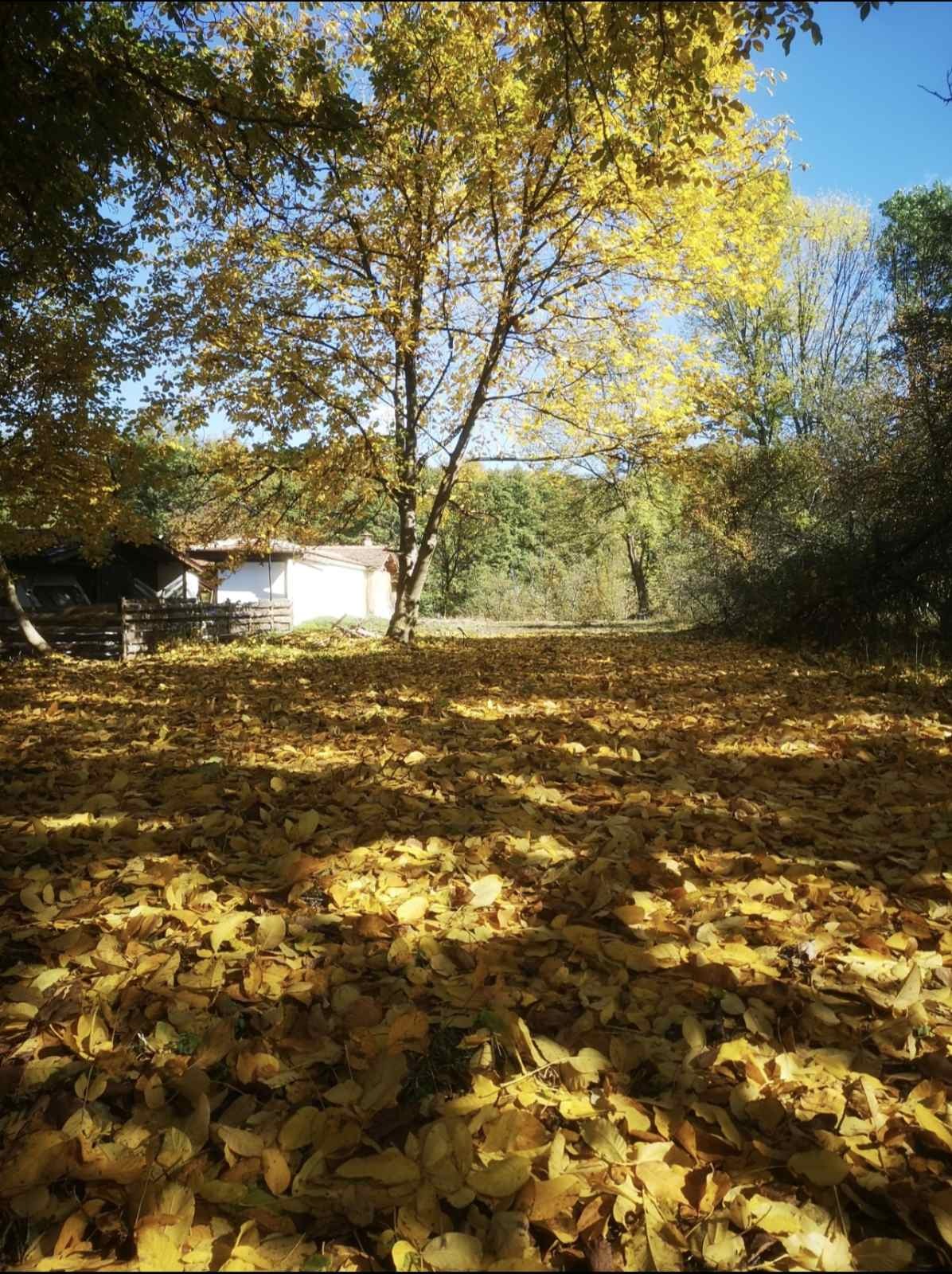 ������� ������ | Imot.bg � ����������� 2