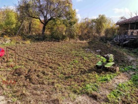 Hus Velsjevo, region Veliko Tarnovo 16