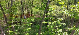 ������� ���� | Imot.bg � ����� ������ 4