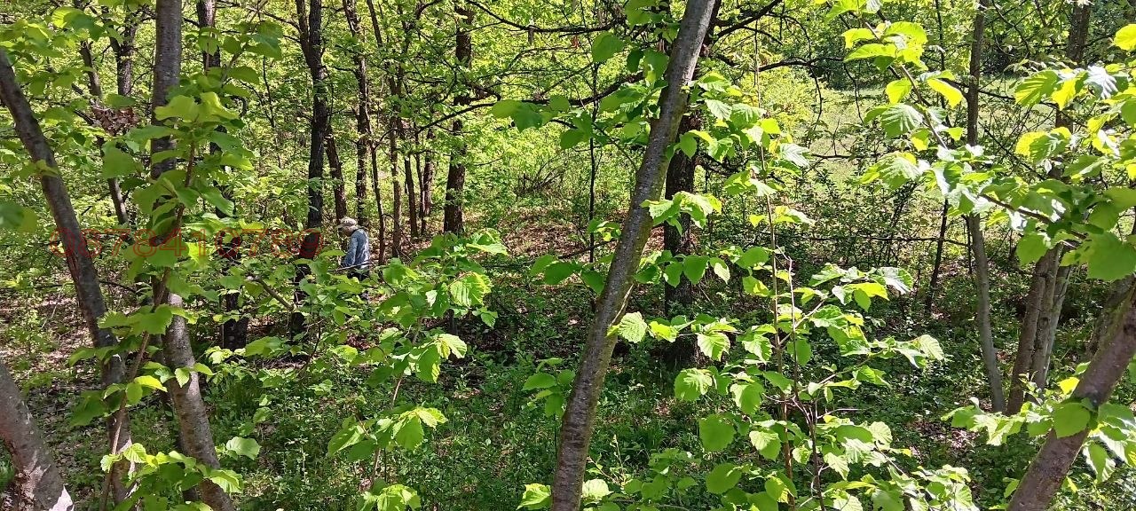 Продава ВИЛА, с. Голяма Желязна, област Ловеч, снимка 4 - Вили - 55222397