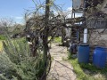Продава  Парцел област Кюстендил , с. Боровец , 780 кв.м | 33261793 - изображение [10]