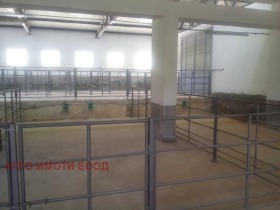 ������� ����� | Imot.bg � ����� ������ 8