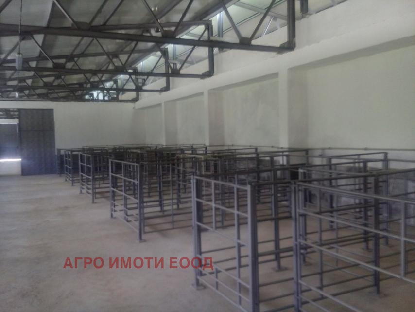 Продава БИЗНЕС ИМОТ, гр. Белоградчик, област Видин, снимка 9 - Други - 55732306