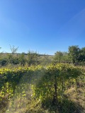 Продава КЪЩА, област Велико Търново, с. Янтра • 26500 € • 26696023 16
