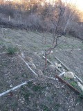 Продава КЪЩА, област Кърджали, с. Петлино • 73000 лв. • 90630500 — Holmes.bg