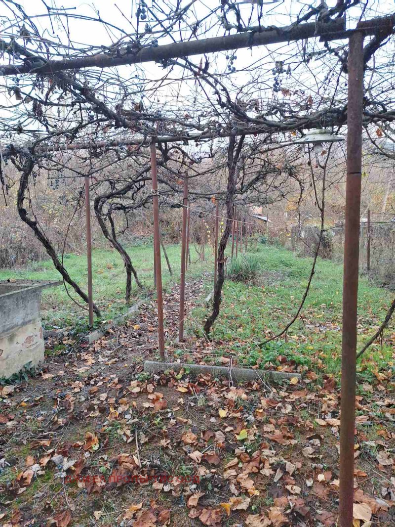 Продава КЪЩА, с. Владо Тричков, област София област, снимка 14 - Къщи - 52453702
