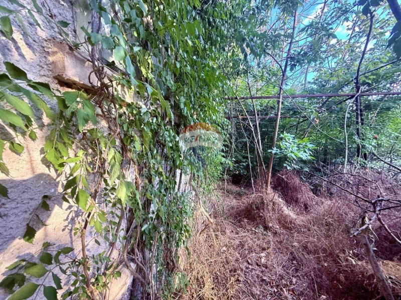 Til salg  Grund region Dobrich , Balchik , 825 kvm | 87618410 - billede [14]