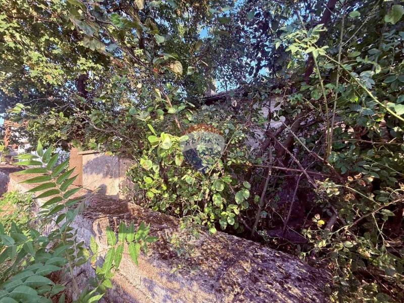 Til salg  Grund region Dobrich , Balchik , 825 kvm | 87618410 - billede [5]