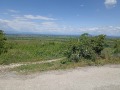 Продава ПАРЦЕЛ, област Пловдив, с. Брестовица • 58500 € • 77735002 — Holmes.bg