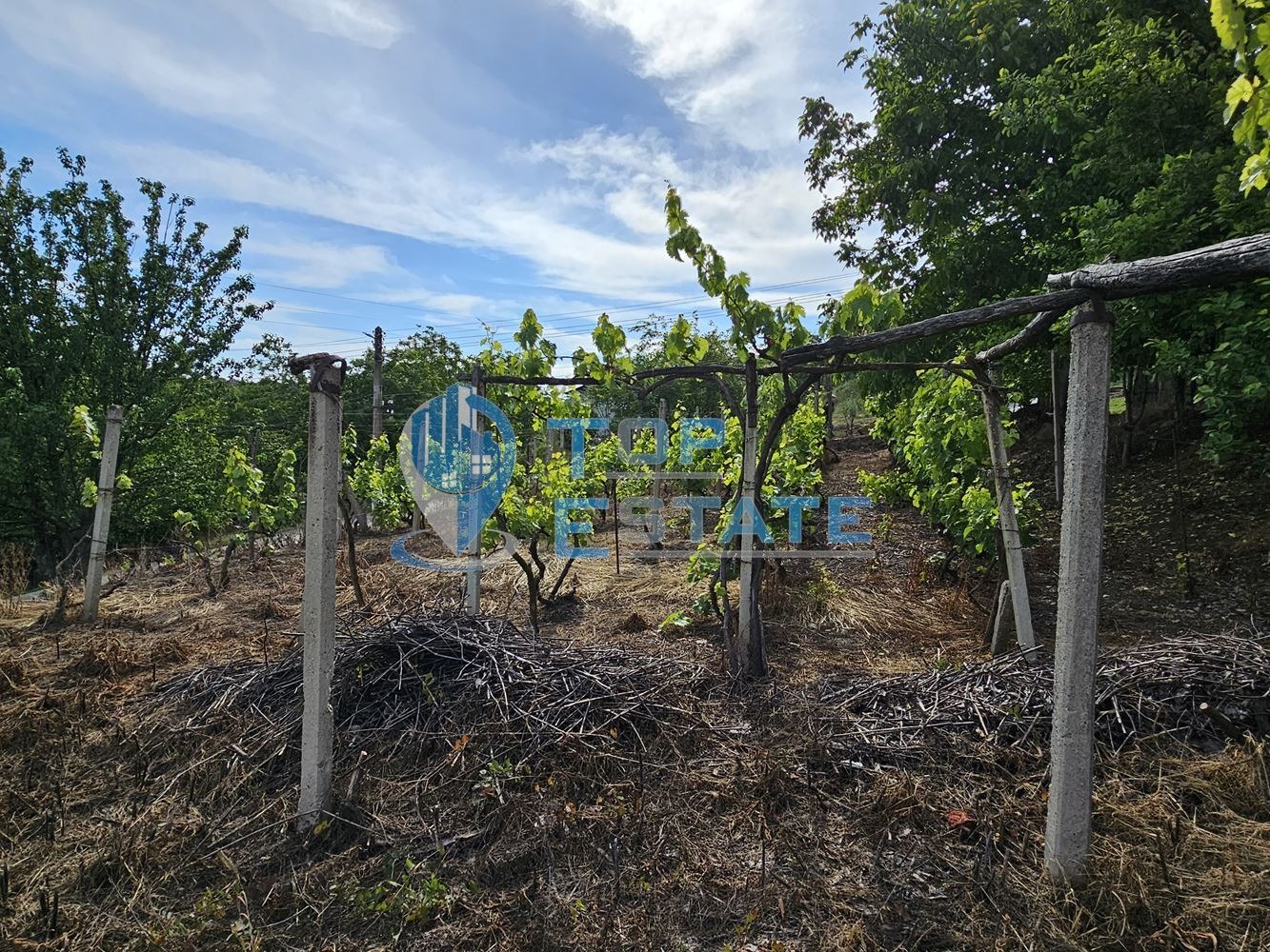 ������� ���� | Imot.bg � ����������� 14