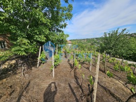 ������� ���� | Imot.bg � ����� ������ 16