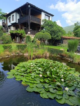 Hus Tasja, region Stara Zagora 2