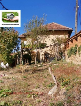 Hus Debeli rat, region Veliko Tarnovo