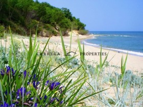 House Priseltsi, region Varna