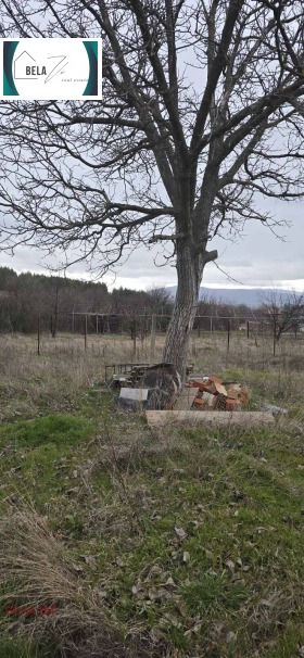 ������� ������ | Imot.bg � ����� ������ 2