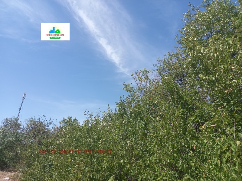 Продава ПАРЦЕЛ в област Пазарджик, с. Гелеменово - 5500 кв.м / 55 000 € » 107 570.65 лв., НОВЕ ИМОТИ 99 ЕООД