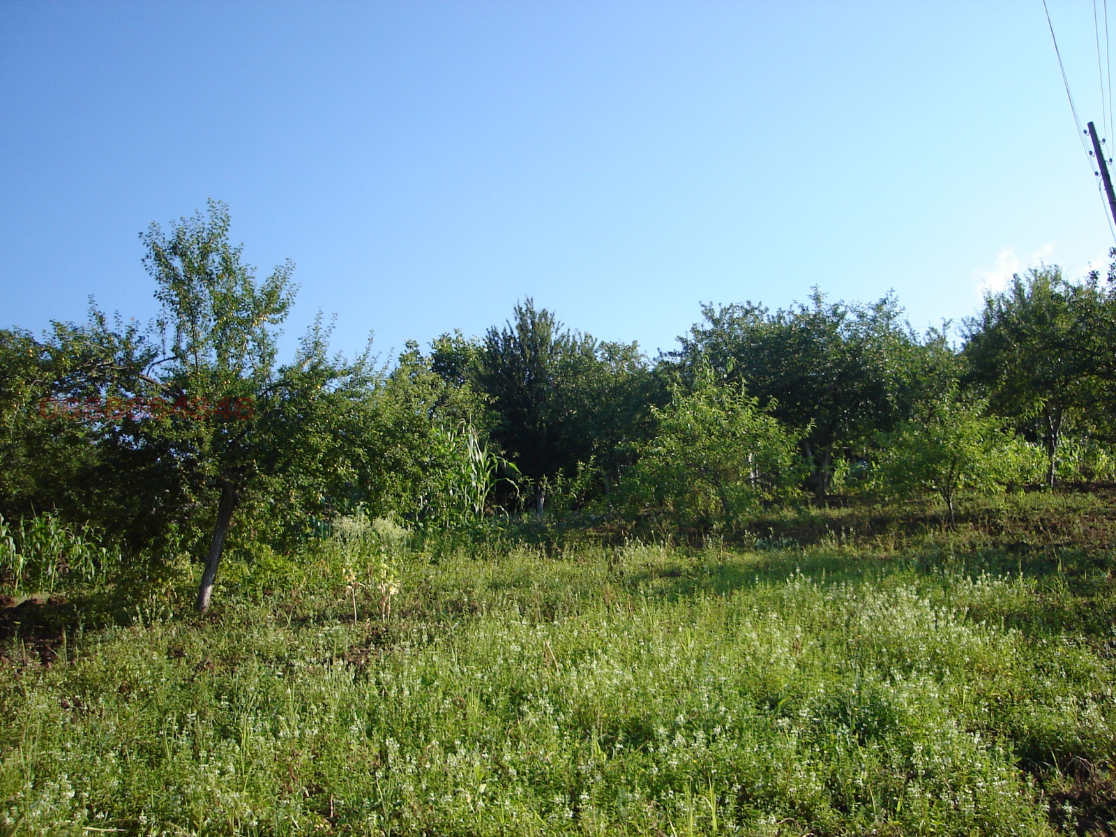 ������� ������ | Imot.bg � ����������� 4