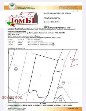 Парцел град Варна, Виница 4