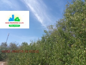 For Sale Plot