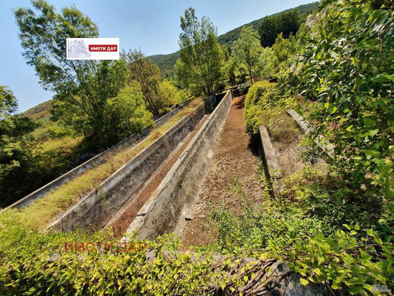 Продава БИЗНЕС ИМОТ, с. Батово, област Добрич, снимка 2 - Други - 41996406
