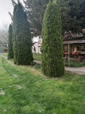 Продажба на имоти в с. Кобиляк, област Монтана - изображение 1 