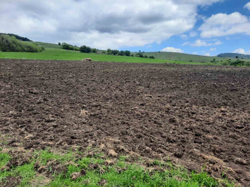 Na prodej  Přistát oblast Pernik , Arzan , 4 dka | 65565961 - obraz [9]
