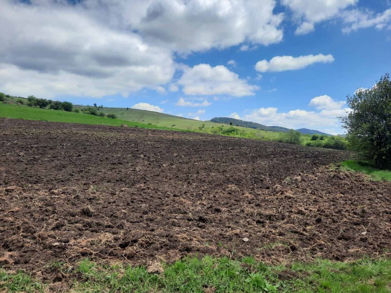 Na prodej  Přistát oblast Pernik , Arzan , 4 dka | 65565961 - obraz [4]