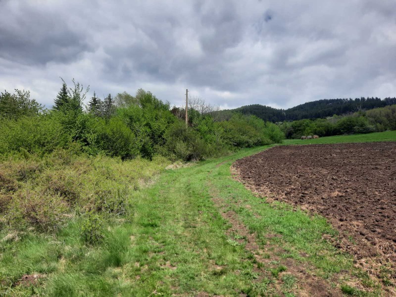 Na prodej  Přistát oblast Pernik , Arzan , 4 dka | 65565961 - obraz [5]