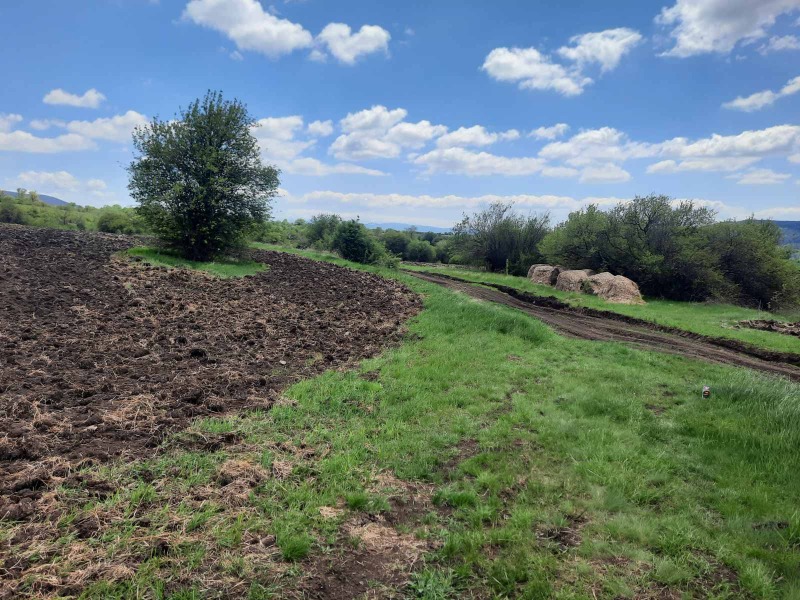 Na prodej  Přistát oblast Pernik , Arzan , 4 dka | 65565961 - obraz [3]