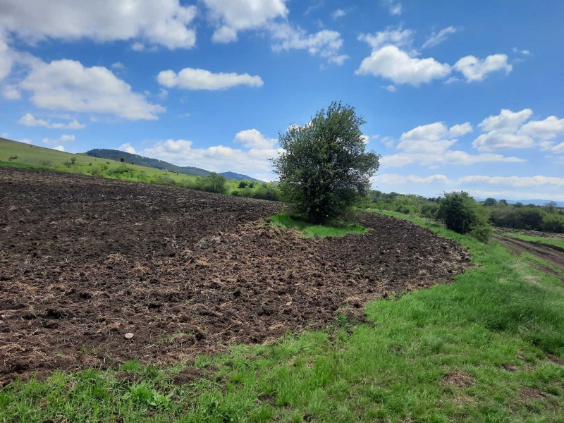 Na prodej  Přistát oblast Pernik , Arzan , 4 dka | 65565961 - obraz [7]
