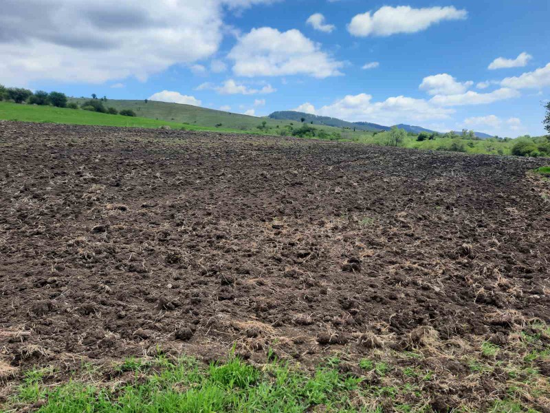 Na prodej  Přistát oblast Pernik , Arzan , 4 dka | 65565961 - obraz [11]