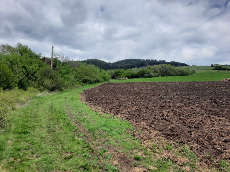 Na prodej  Přistát oblast Pernik , Arzan , 4 dka | 65565961 - obraz [2]