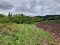 Продава ЗЕМЕДЕЛСКА ЗЕМЯ, с. Арзан, област Перник, снимка 4