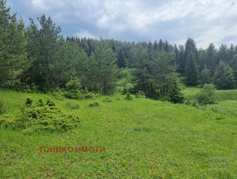 ������� ������ | Imot.bg � ����������� 1