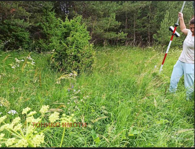 ������� ������ | Imot.bg � ����������� 4