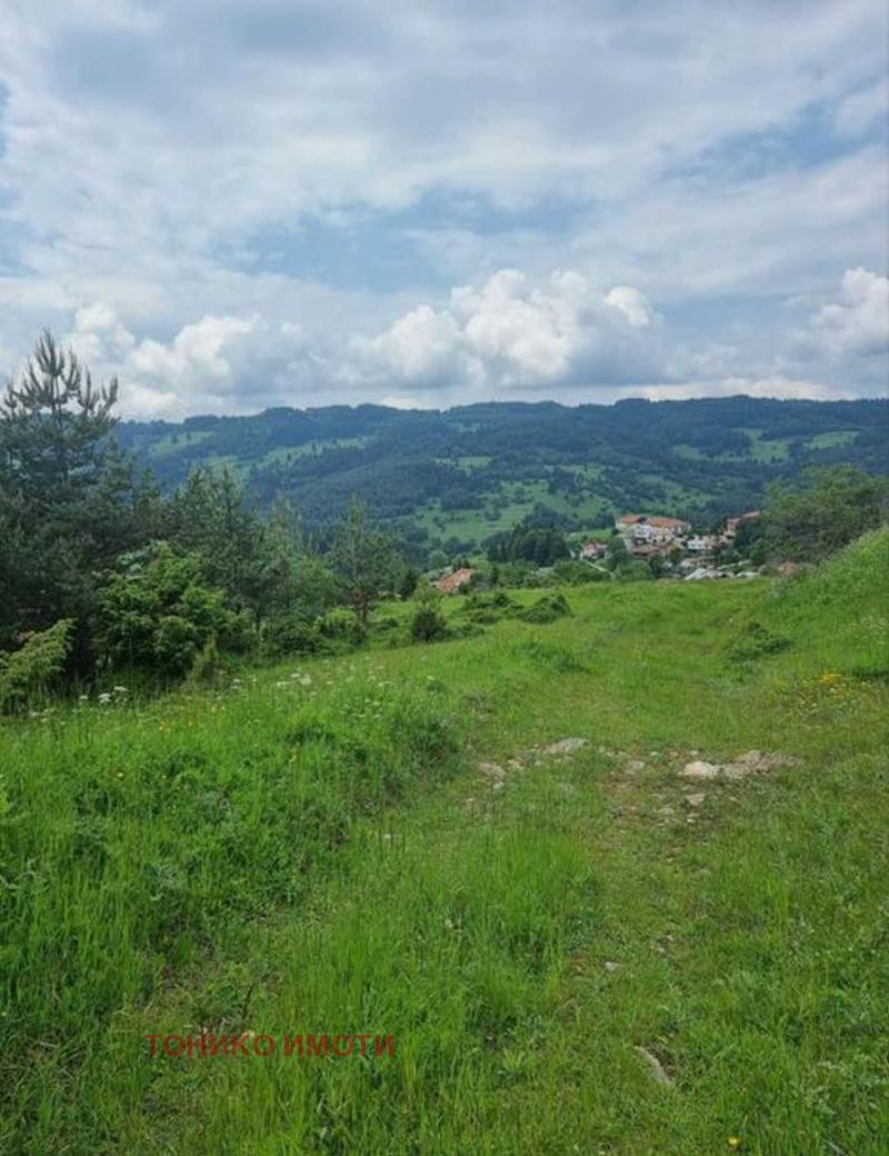 ������� ������ | Imot.bg � ����������� 2