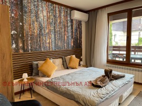 Studio Bansko, region Blagoewgrad 4