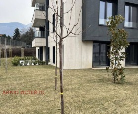 ����� ������� 3-�����,���� �����, ����������>